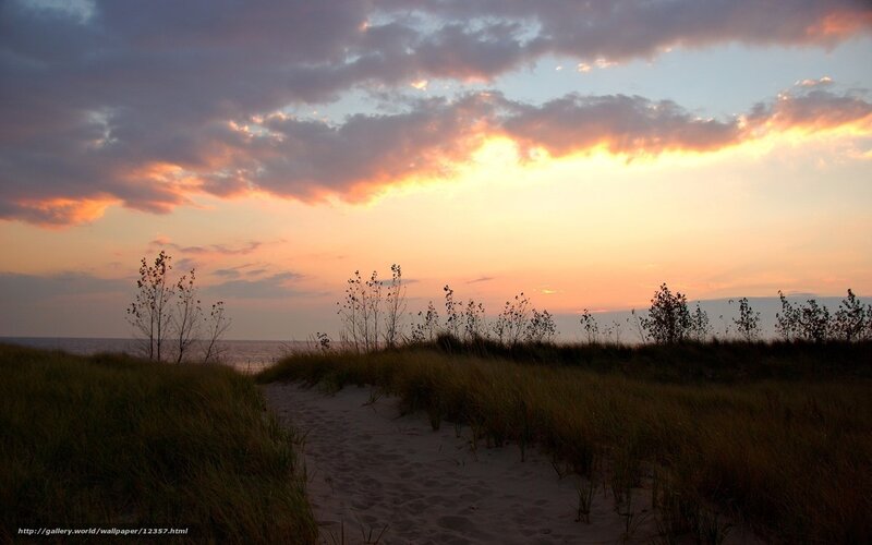 sunset at the beach dunes