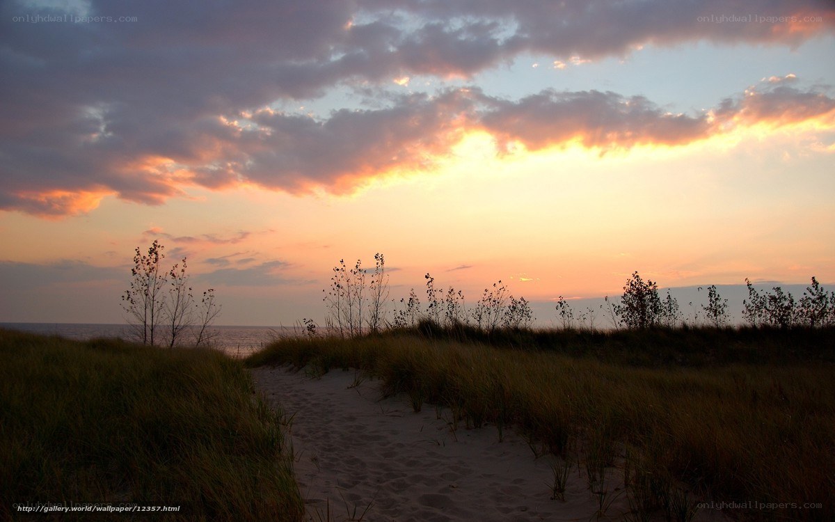 sunset at the beach dunes