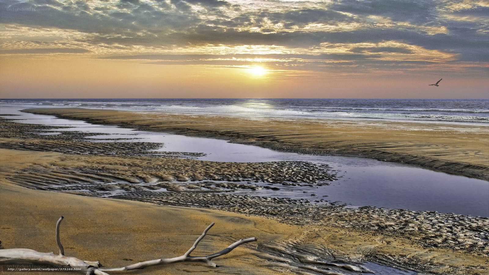 Sunset at the beach with a river