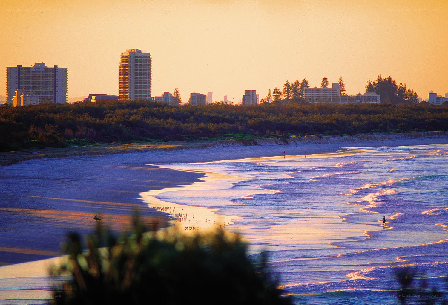 Sunset at the beach with city skyline
