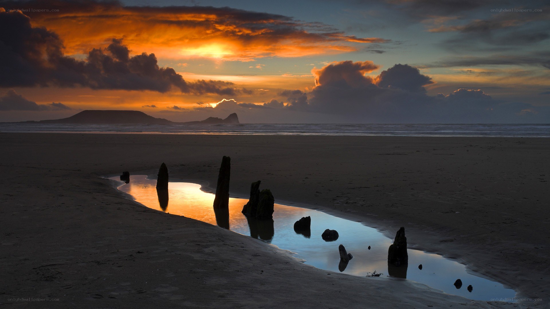 Sunset at the beach with driftwood