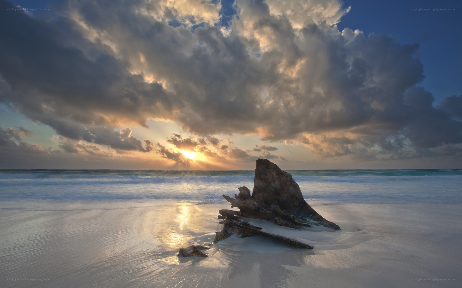 Sunset at the beach with driftwood