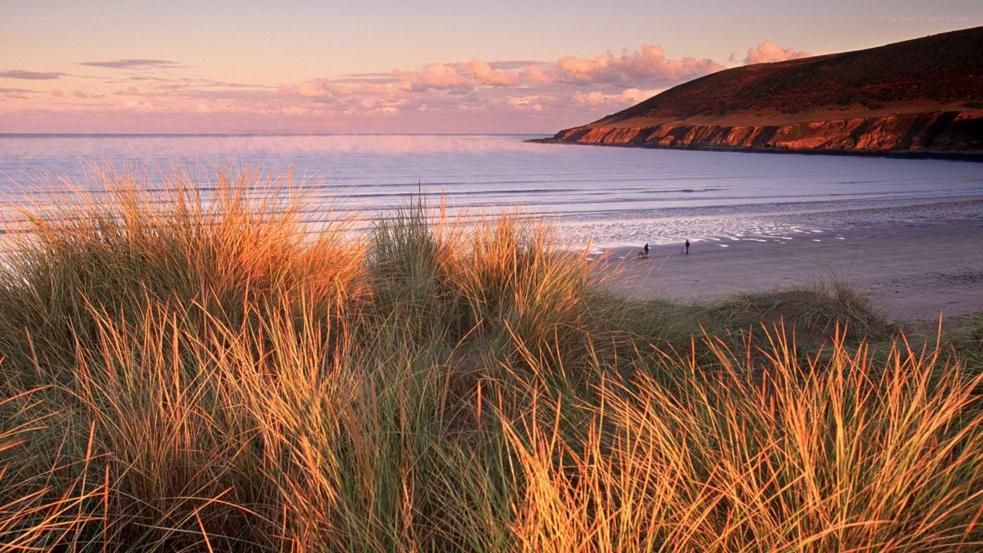 Sunset at the beach with dunes