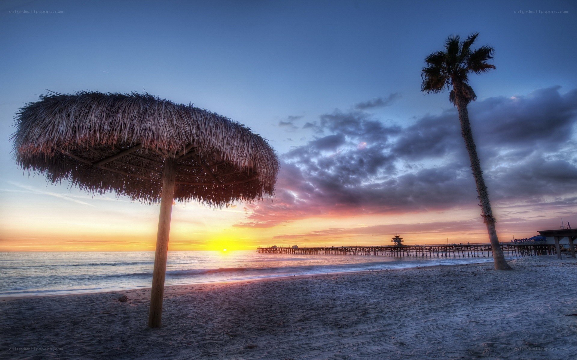 Sunset at the beach with palm tree