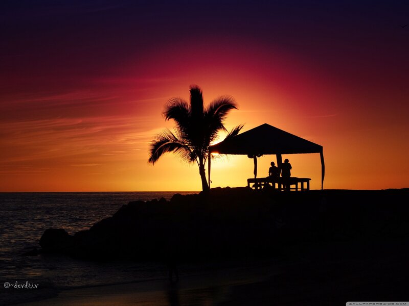 Sunset at the beach with palm tree