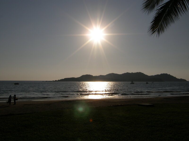 Sunset at the beach with palm tree
