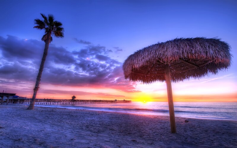 sunset at the beach with palm tree