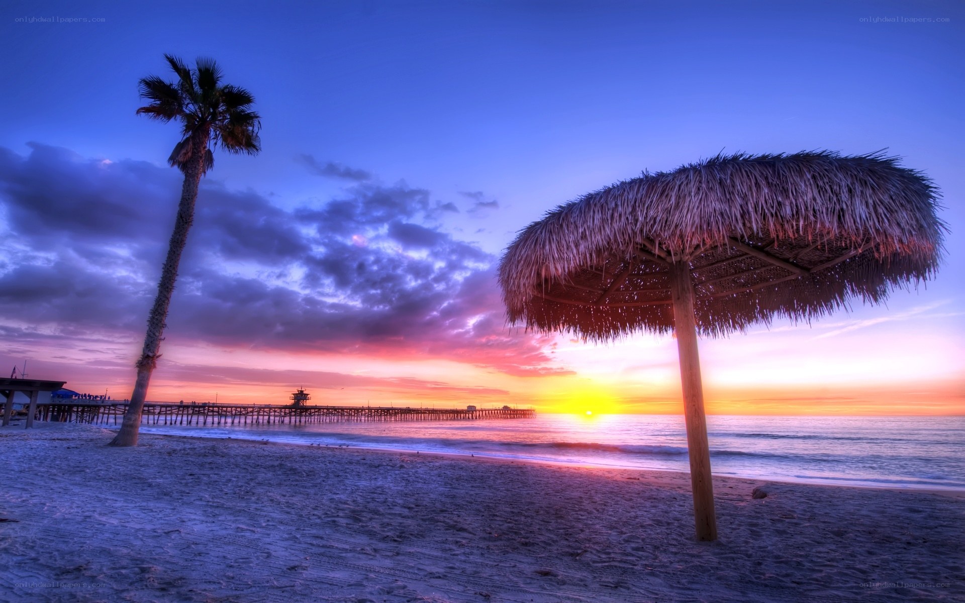 sunset at the beach with palm tree