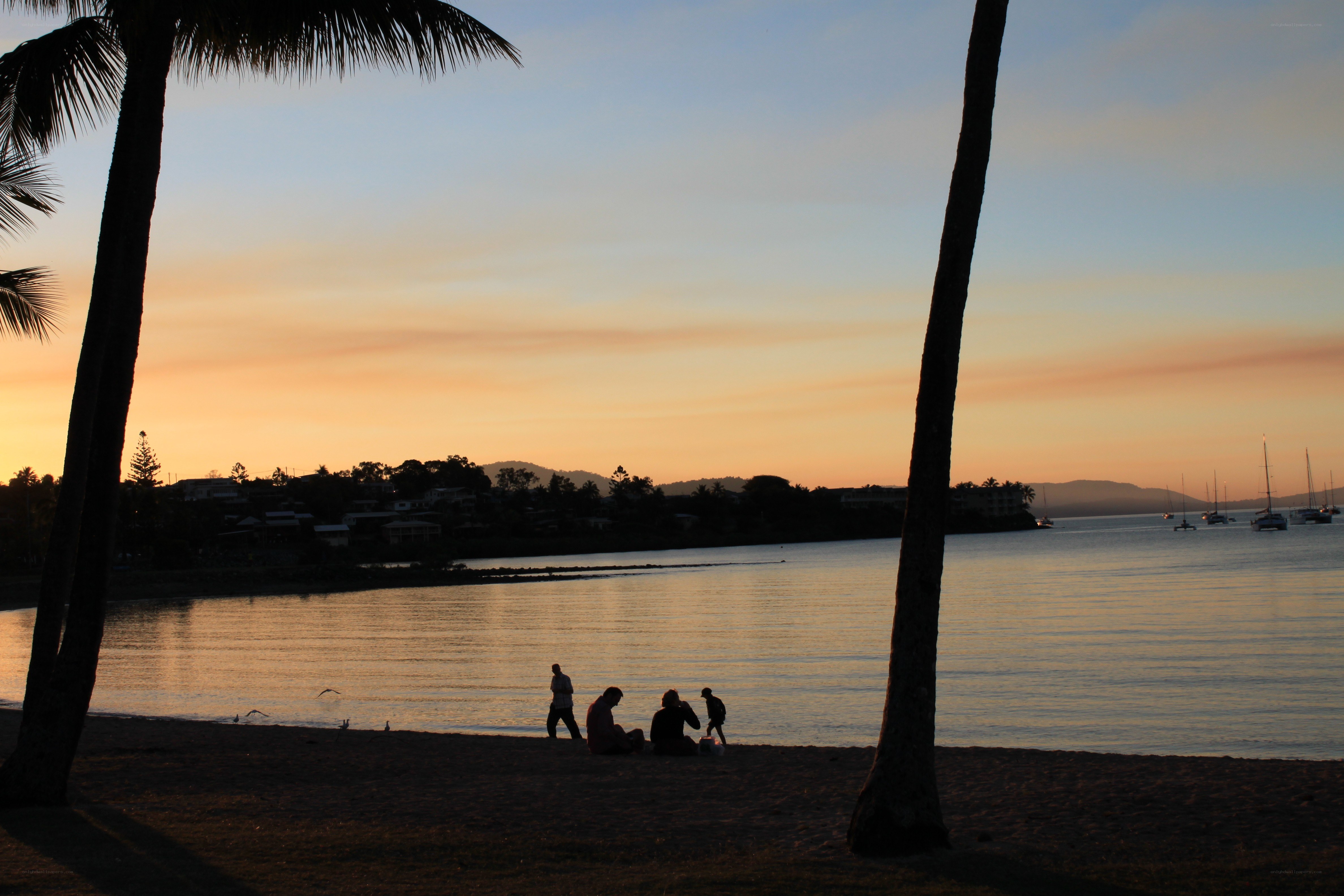 sunset at the beach with palm trees