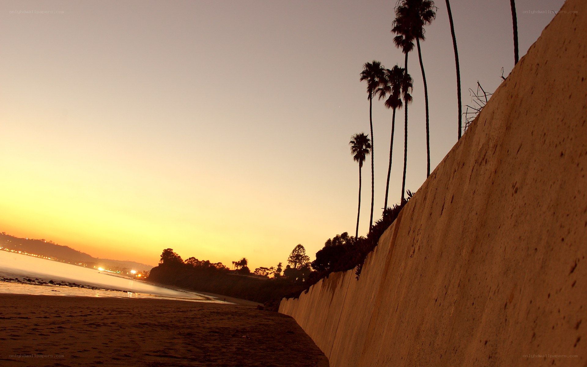 sunset at the beach with palm trees