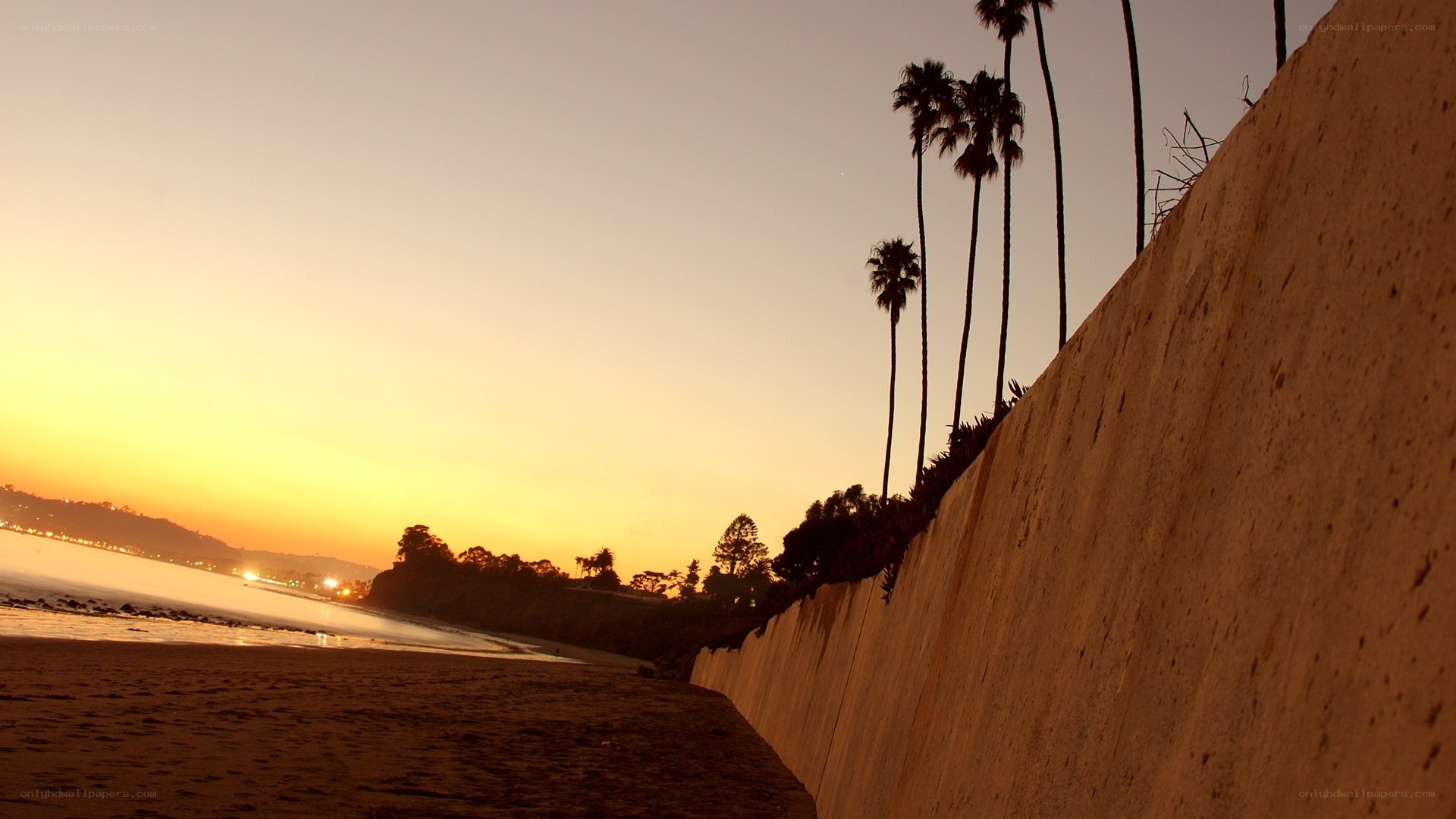 sunset at the beach with palm trees