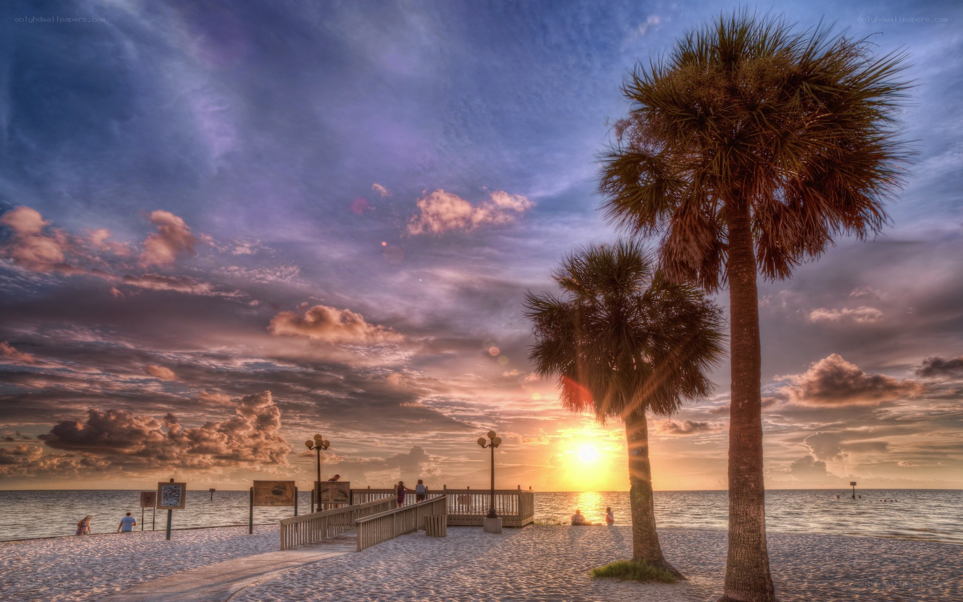 sunset at the beach with palm trees