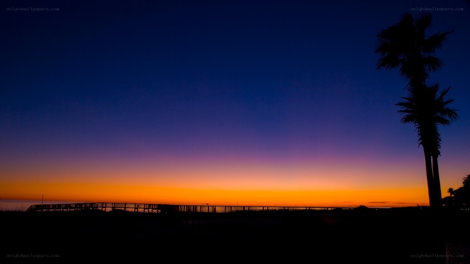 sunset at the beach with palm trees