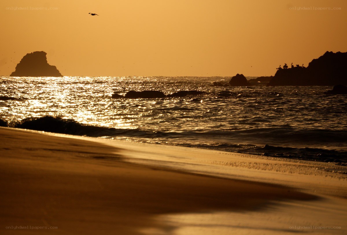 Sunset at the beach with rocks