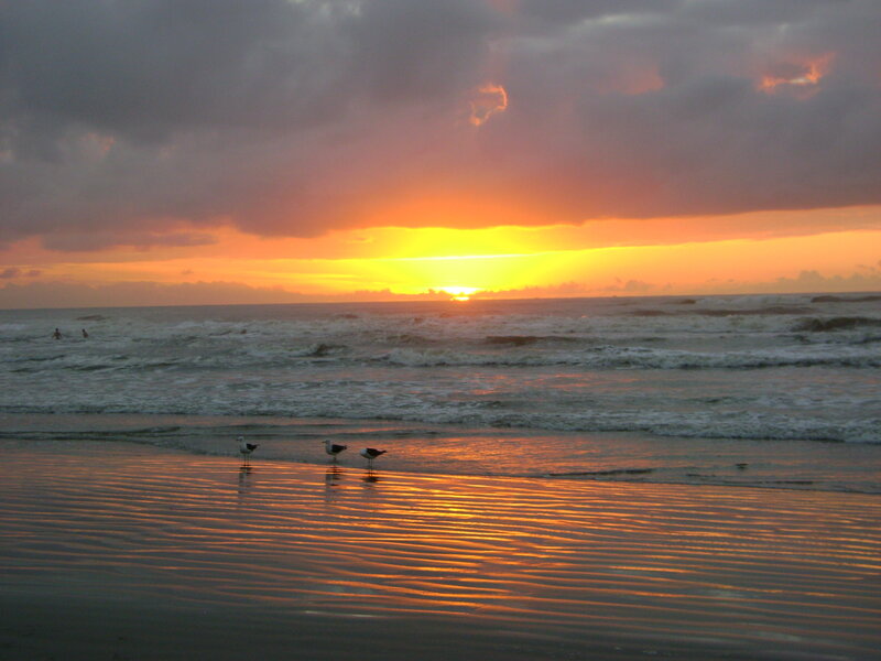 Sunset at the beach with seagulls