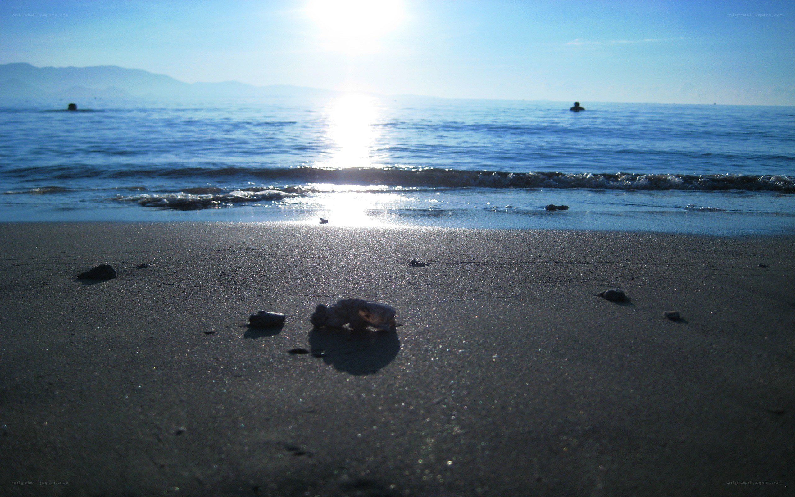 Sunset at the beach with swimmers
