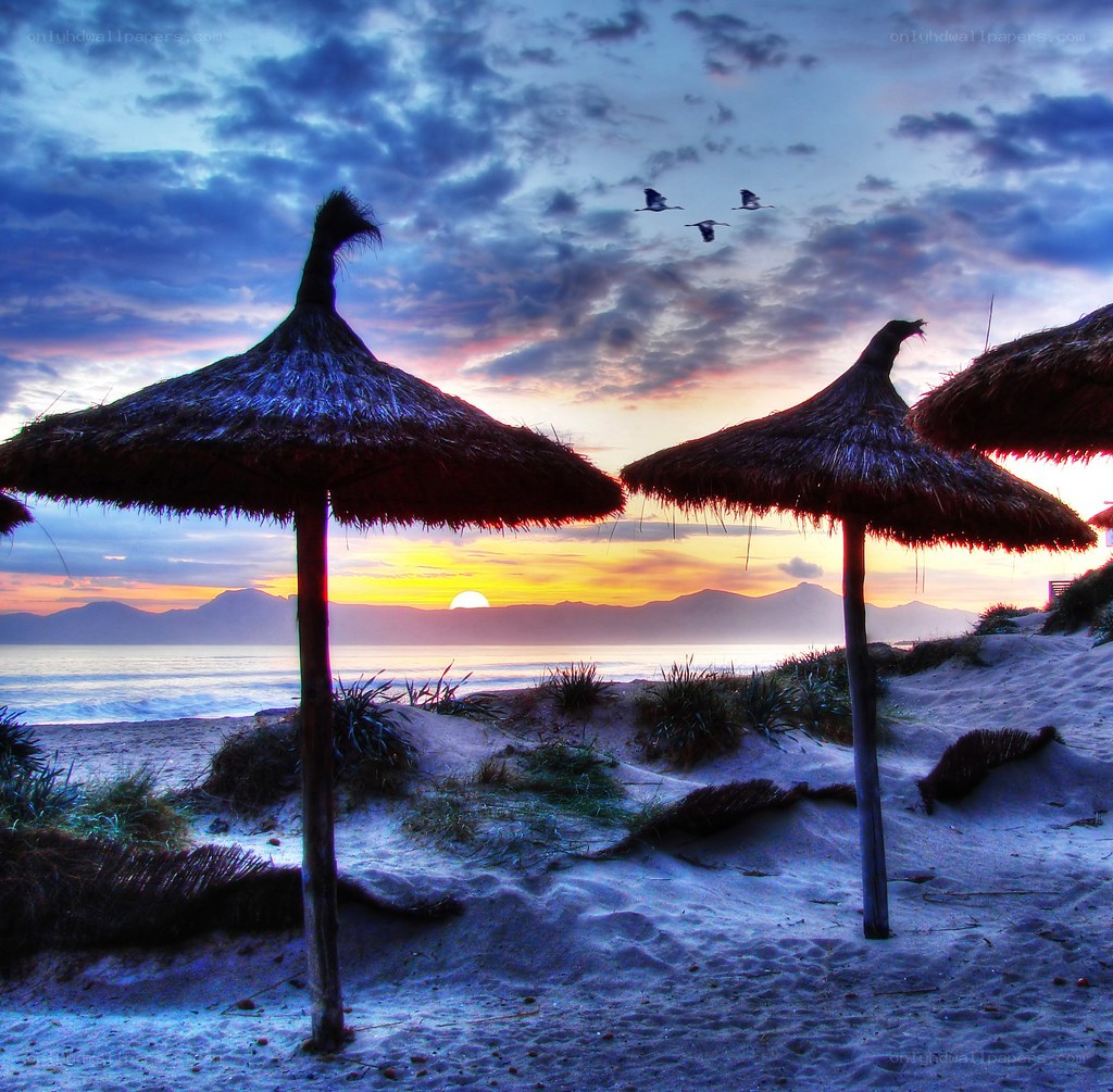 Sunset at the beach with umbrellas