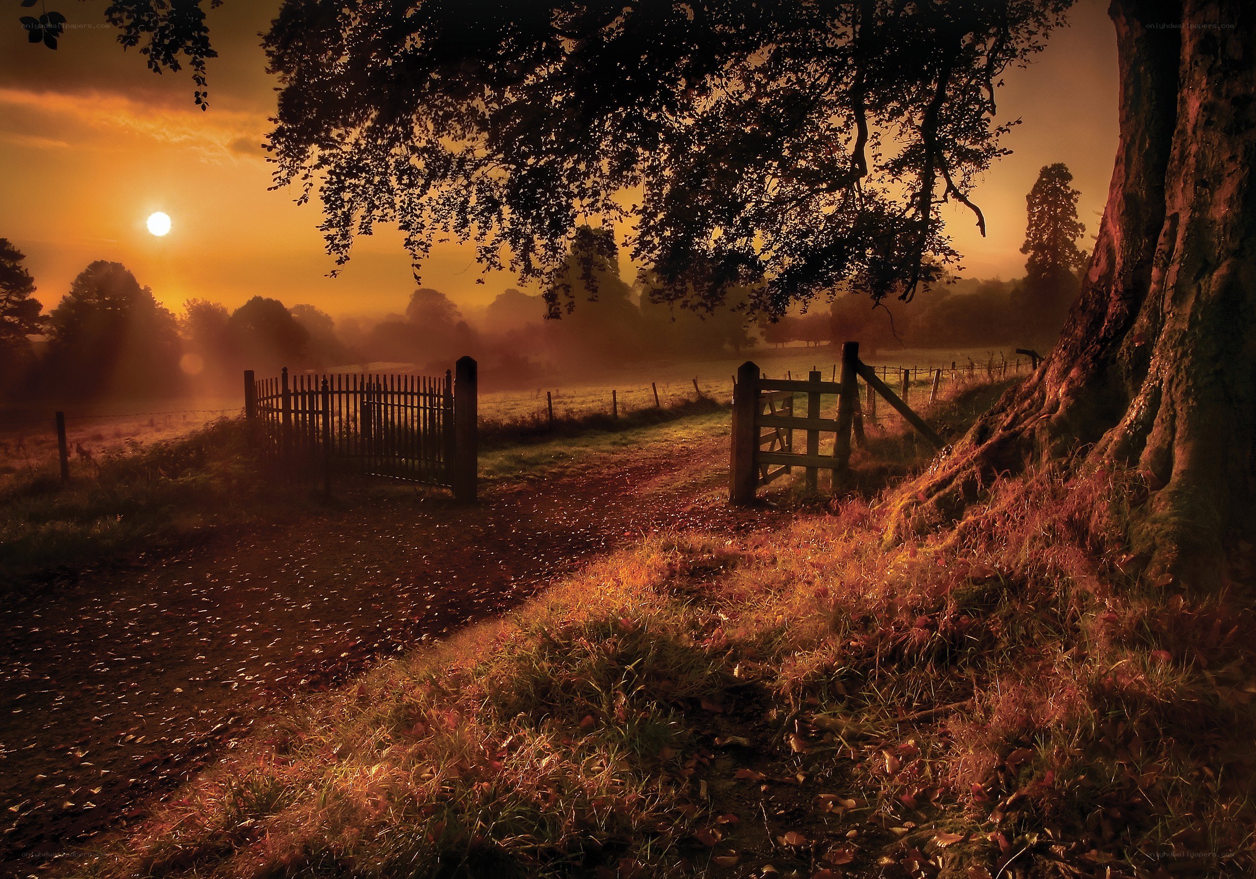 Sunset at the country gate