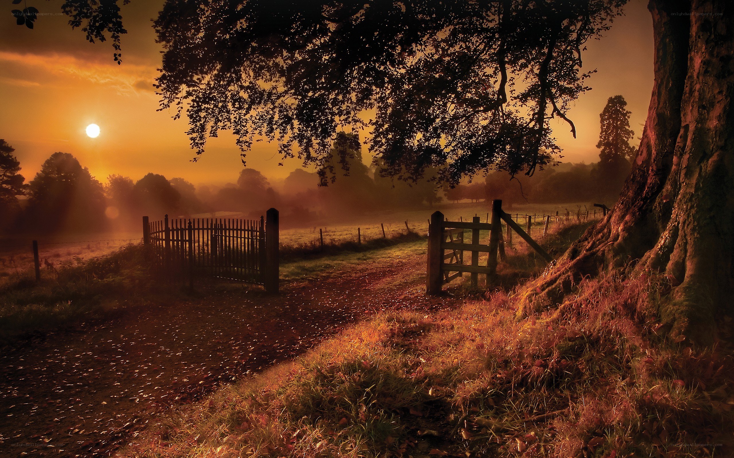Sunset at the country gate