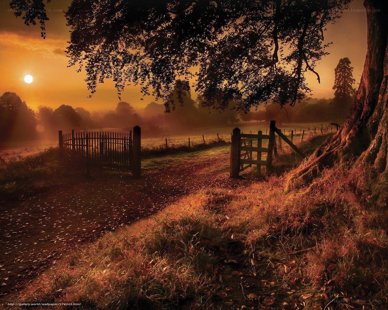 Sunset at the country gate
