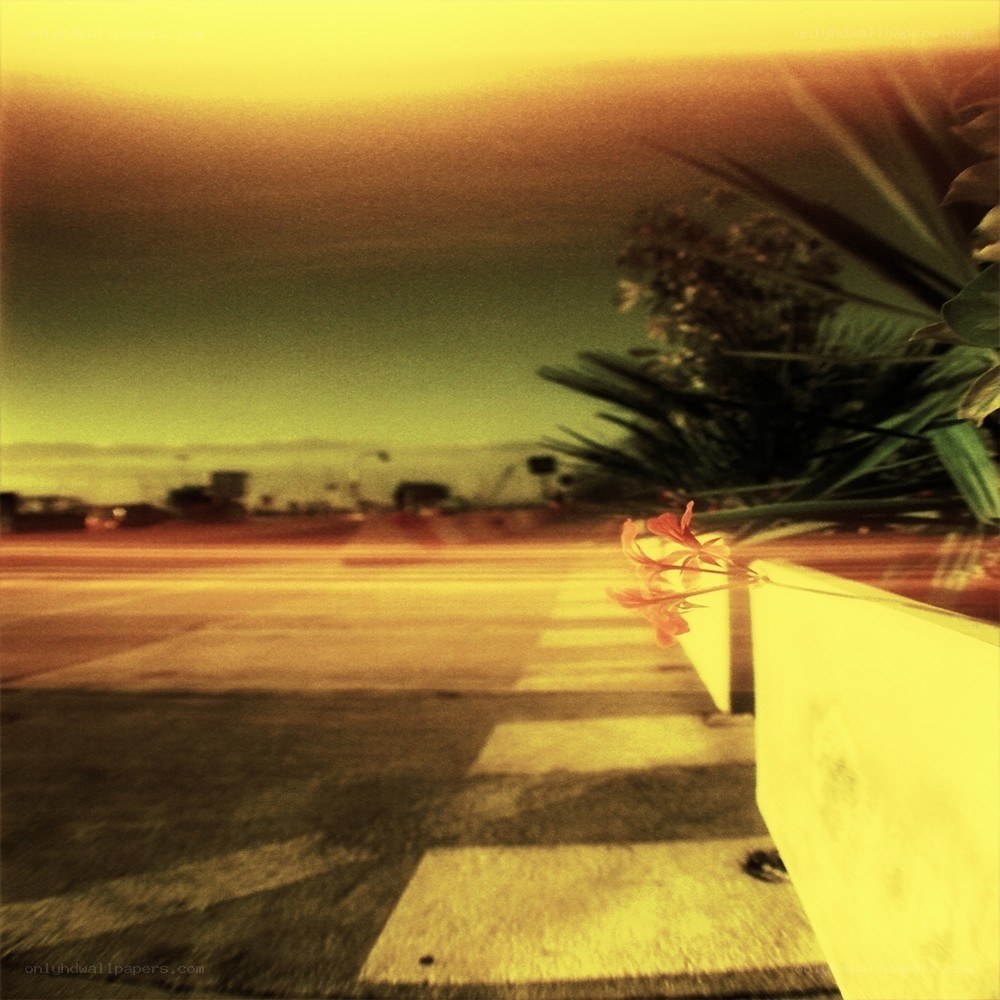 Sunset at the crosswalk