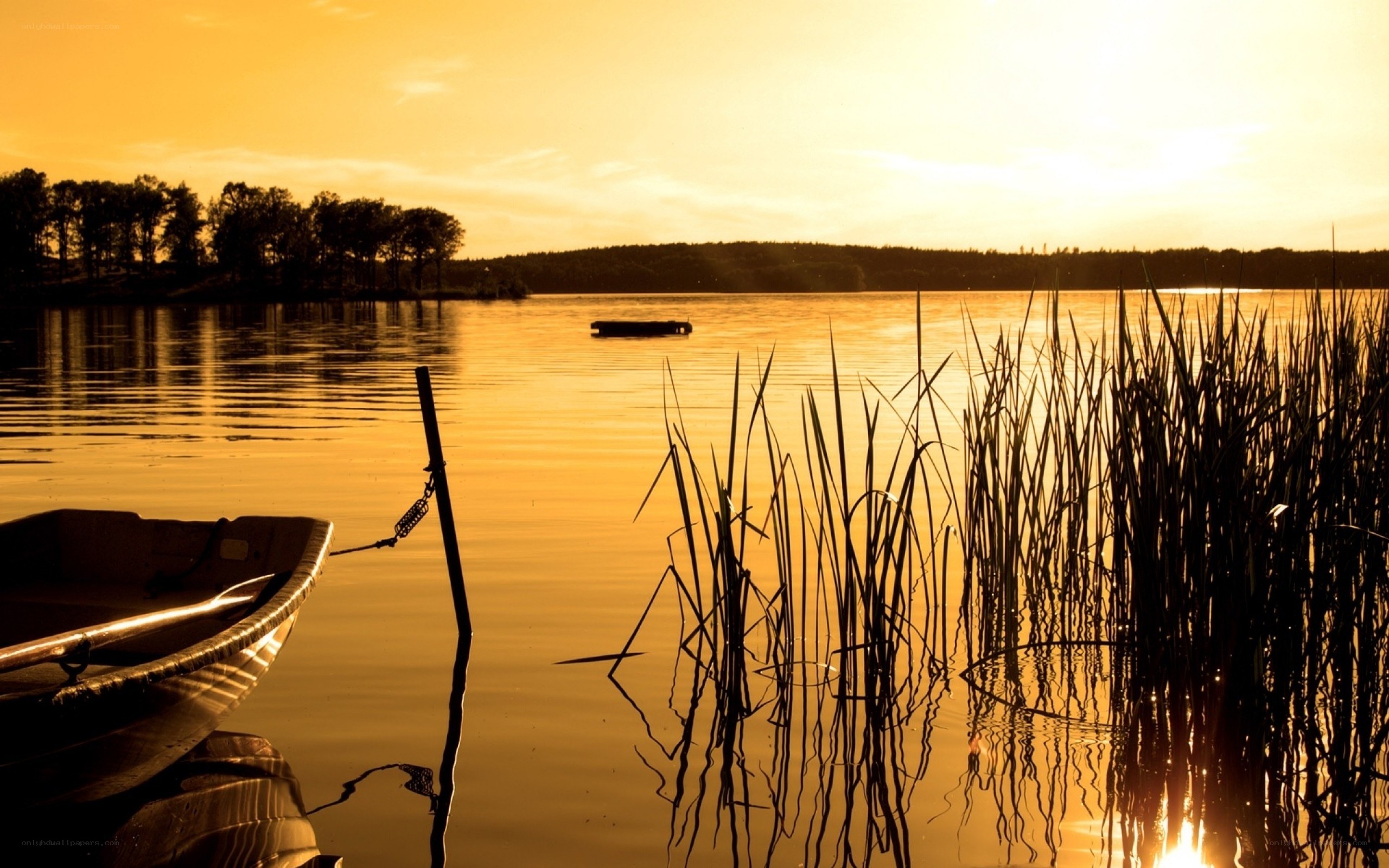 Sunset at the lake