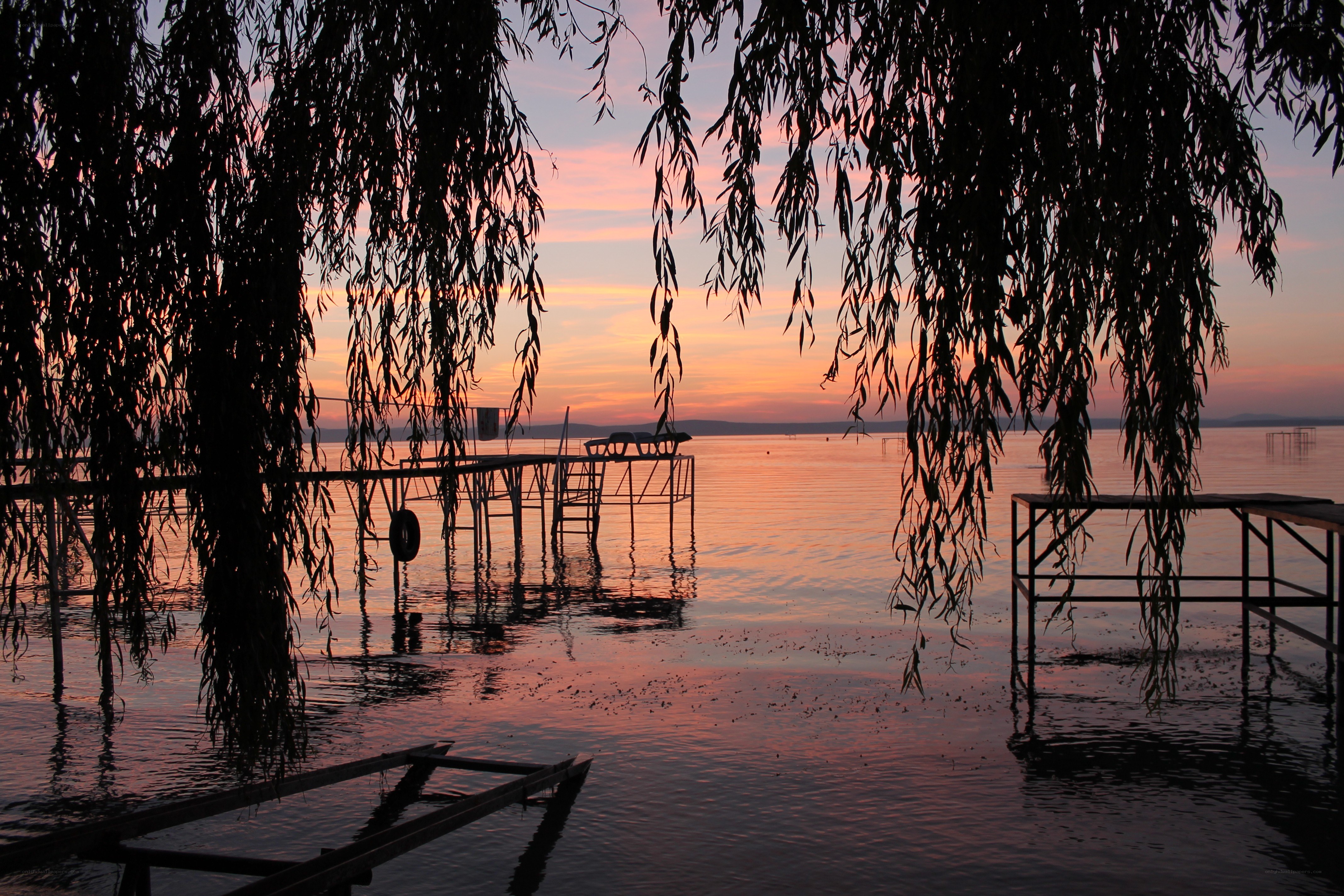 Sunset at the lake with willow trees