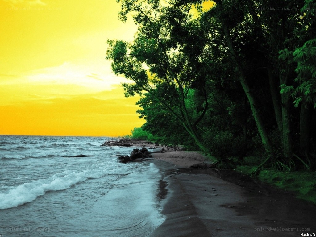 sunset at the lakeshore