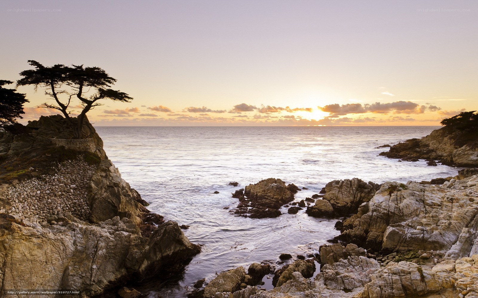 Sunset at the Lone Cypress
