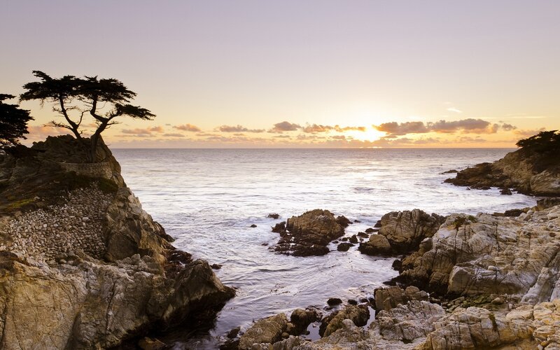 Sunset at the Lone Cypress