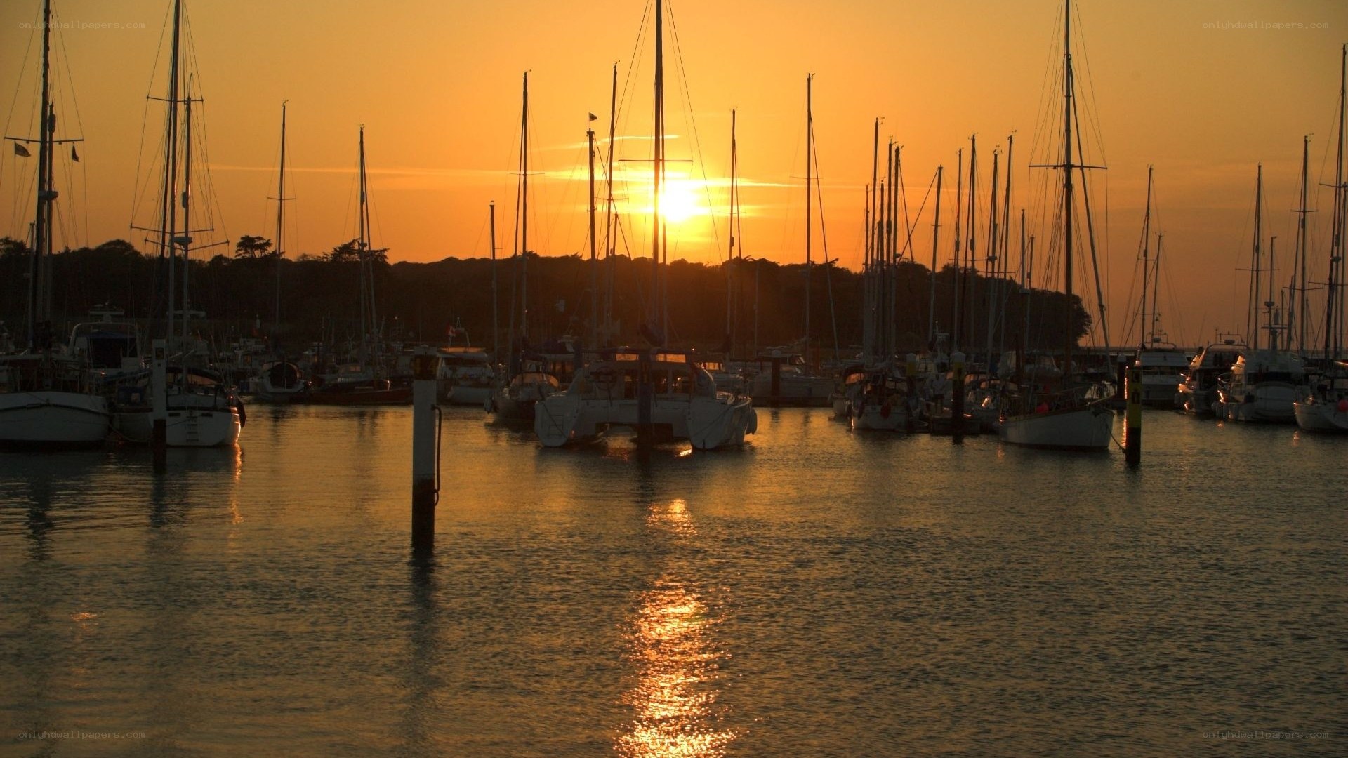 sunset at the marina