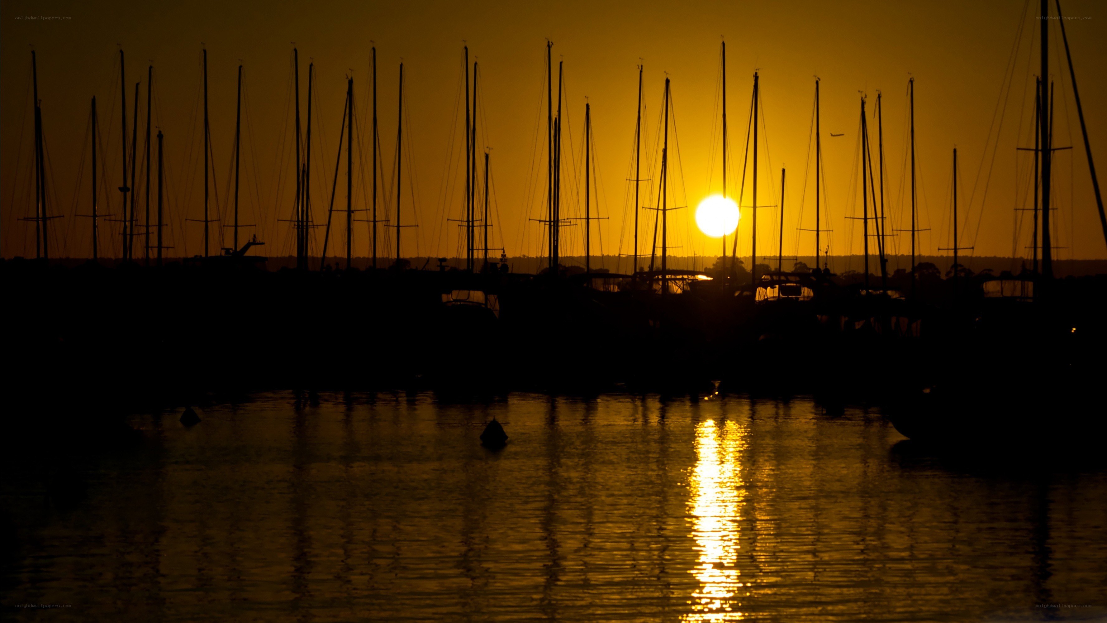 Sunset at the marina