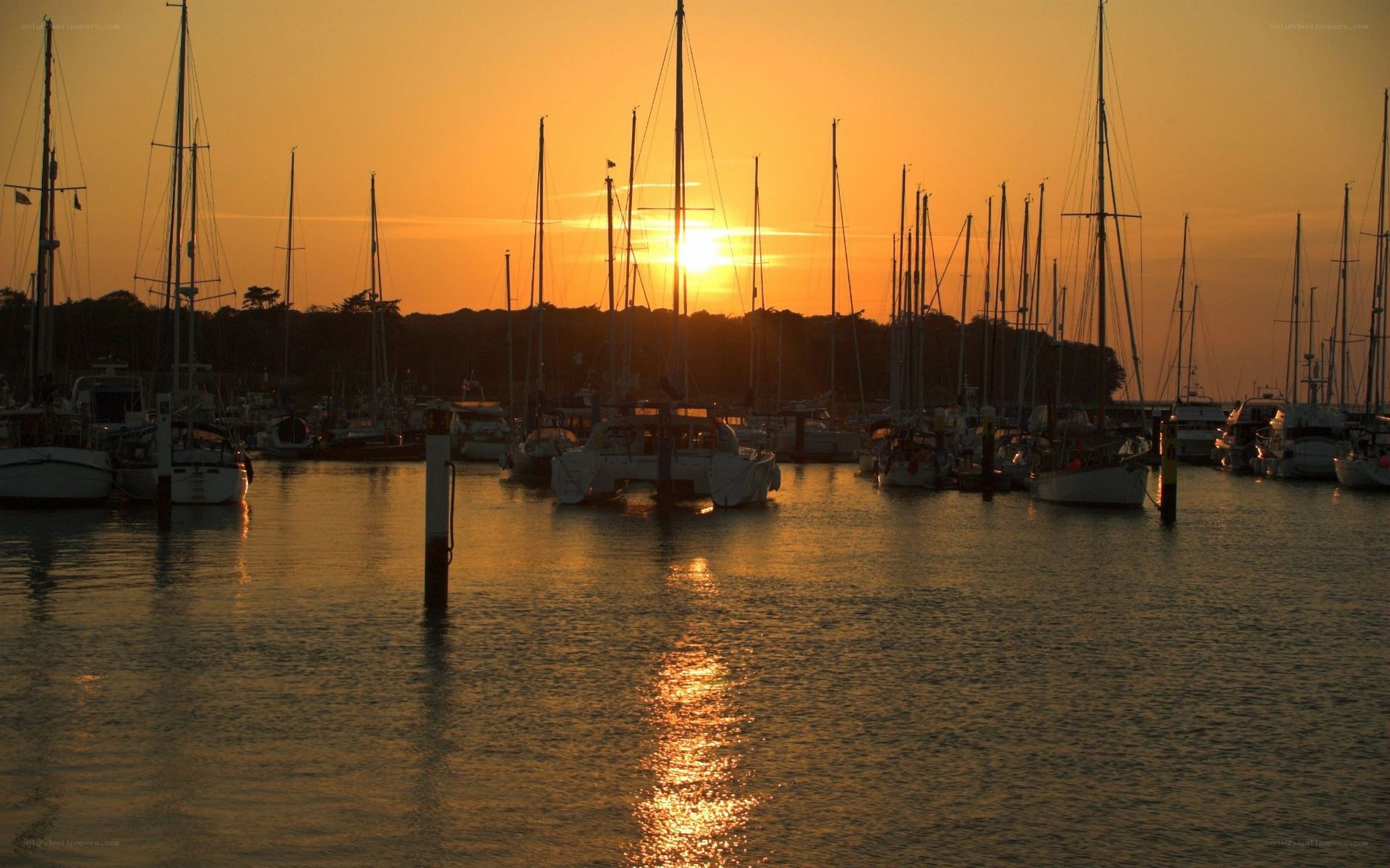Sunset at the marina