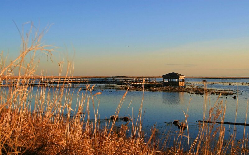 Sunset at the marsh observation deck