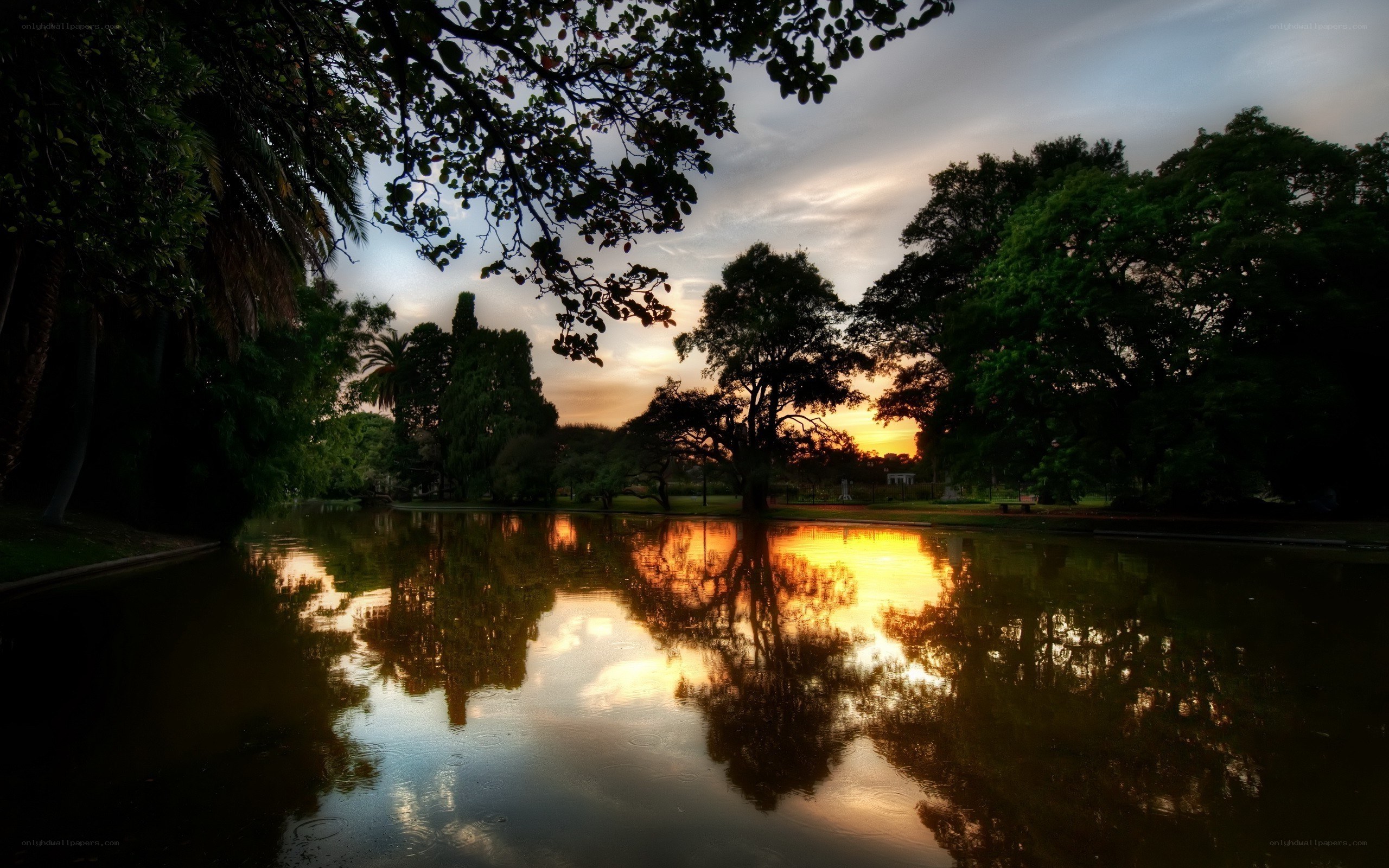 Sunset at the park pond