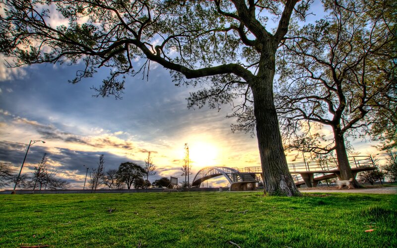 Sunset at the park with a bridge