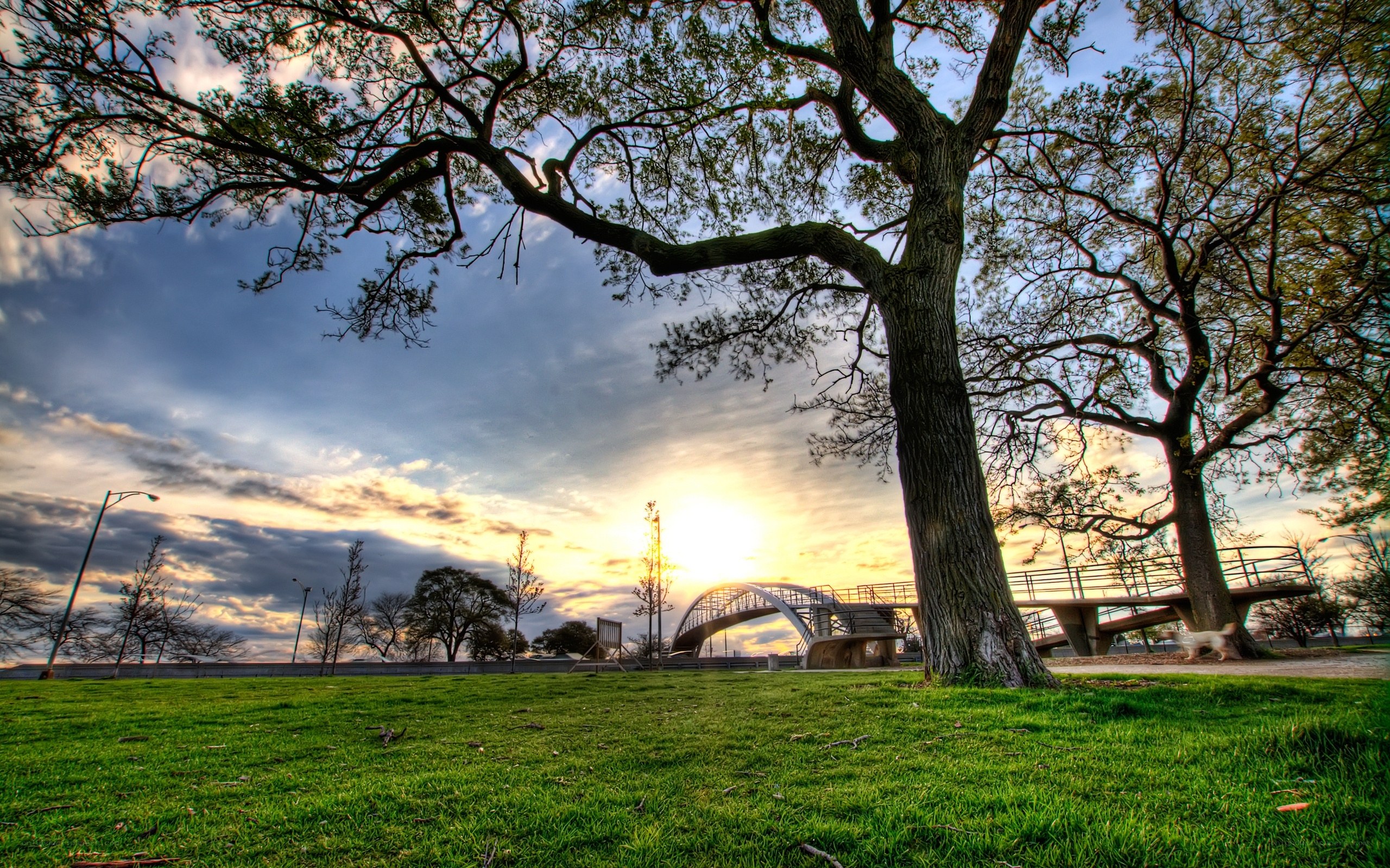 Sunset at the park with a bridge