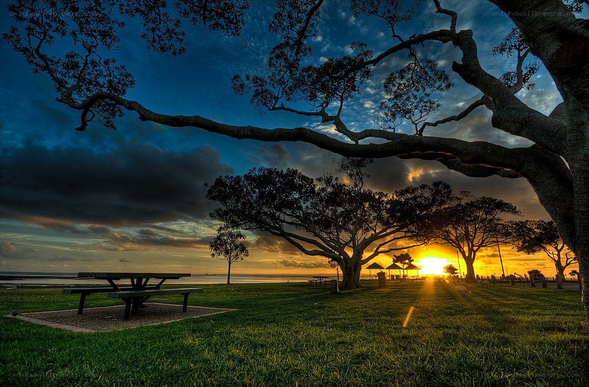 Sunset at the park