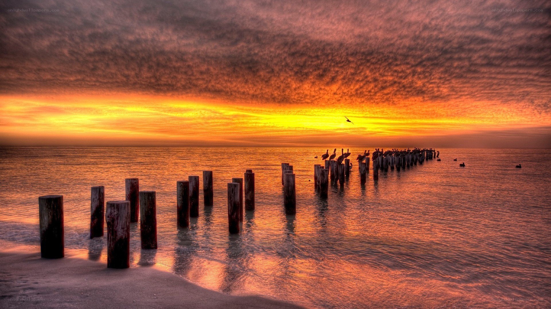 Sunset at the pier