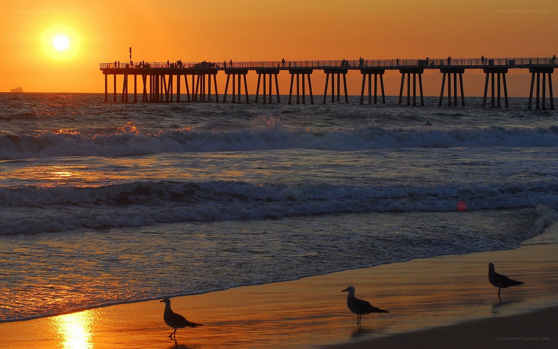 Sunset at the pier
