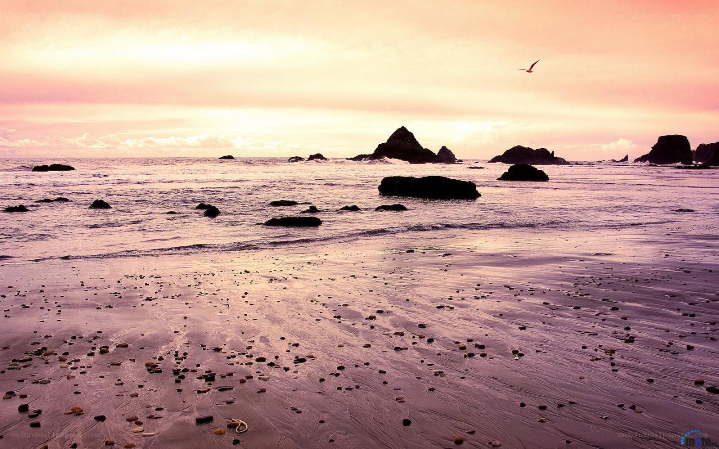sunset at the rocky beach