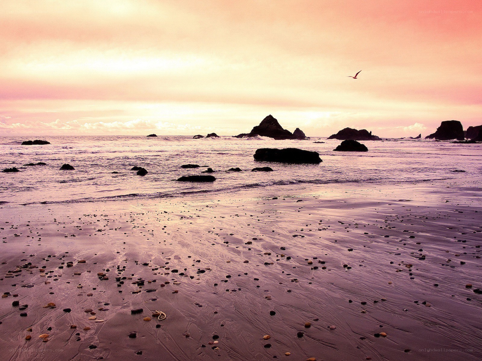 sunset at the rocky beach