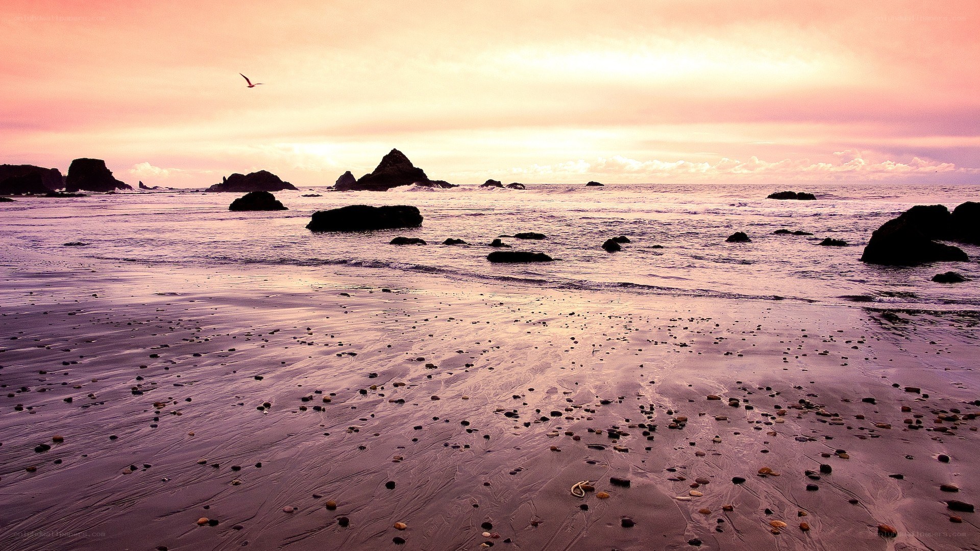 sunset at the rocky beach