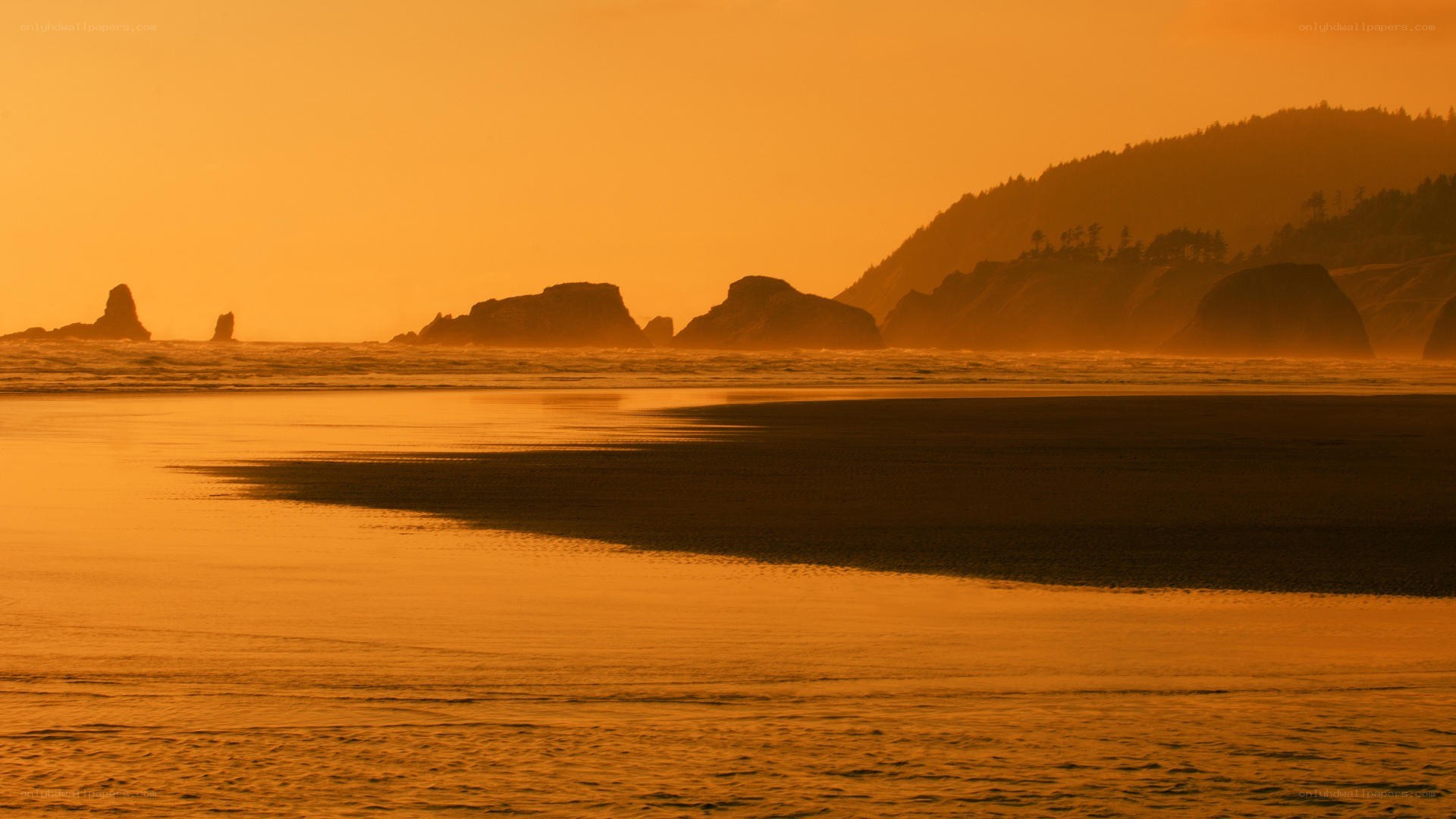 sunset at the rocky coast