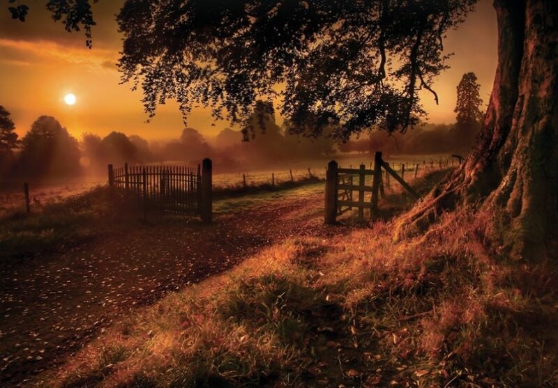 Sunset at the rural gate