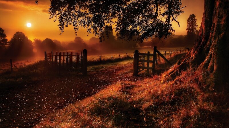 Sunset at the rural gate
