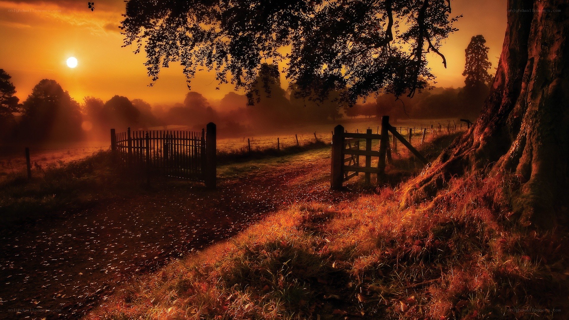 Sunset at the rural gate