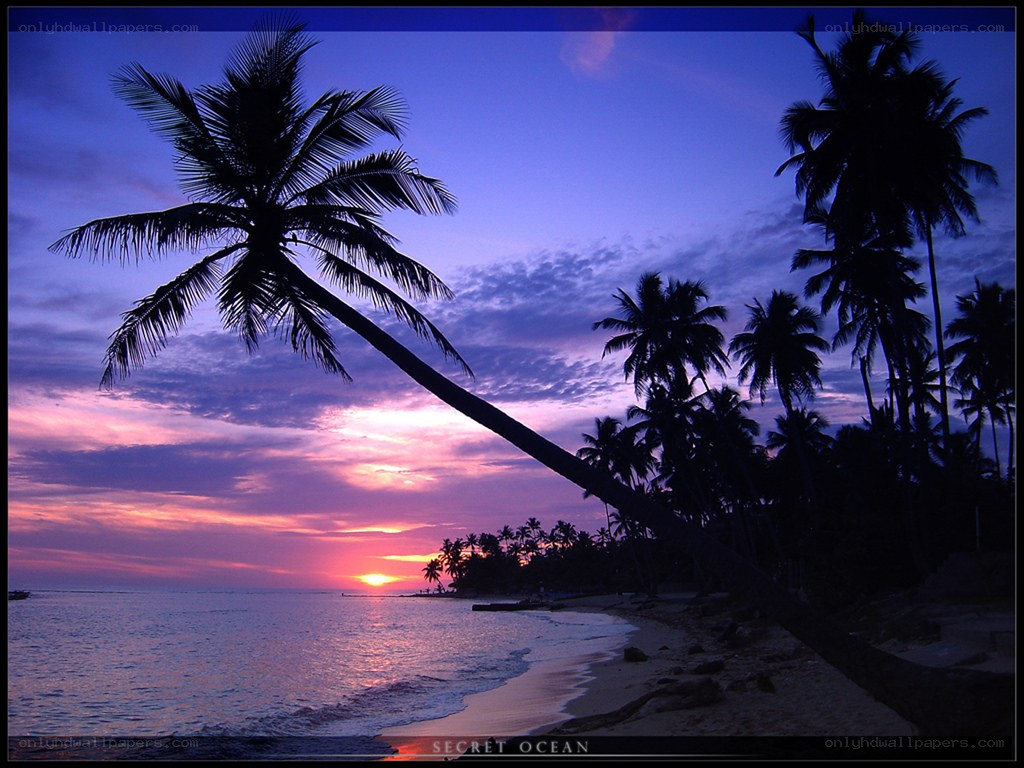 Sunset at the tropical beach