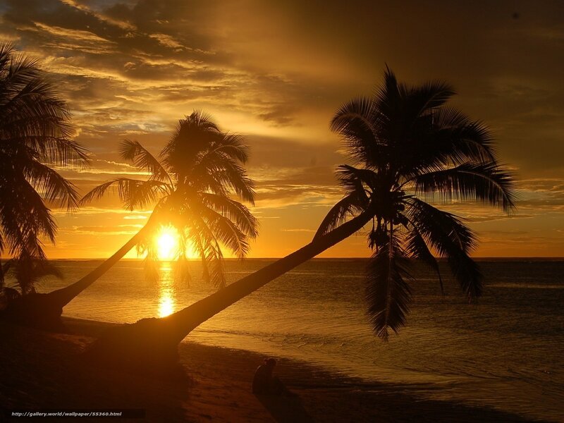 Sunset at the tropical beach