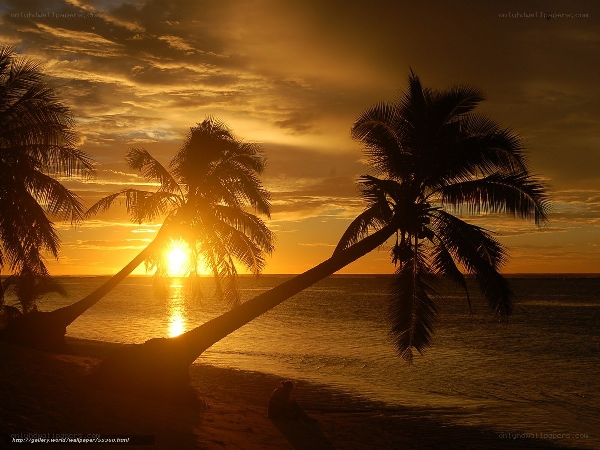 Sunset at the tropical beach